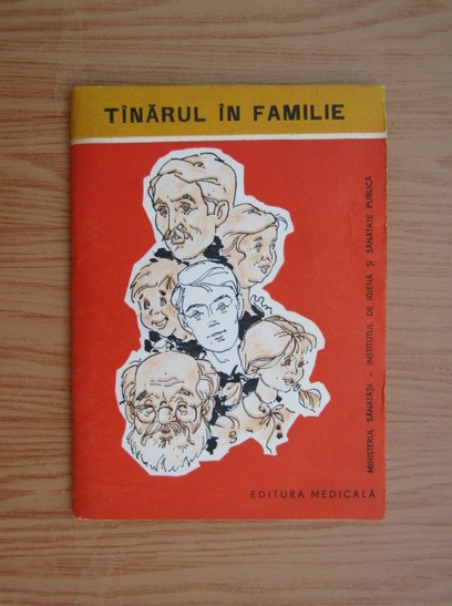 Tanarul in familie (1979)