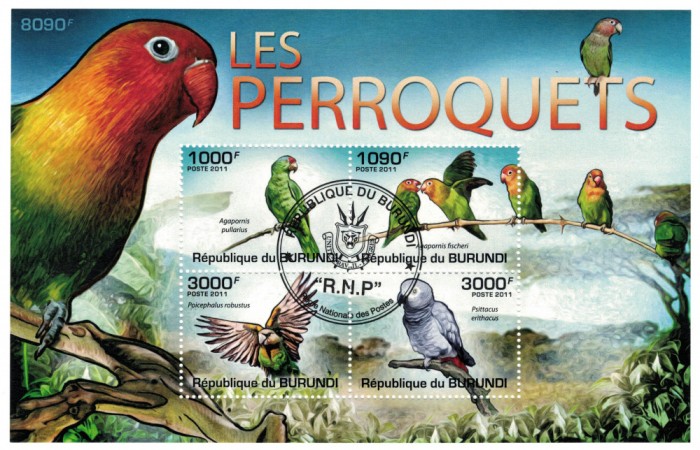 BURUNDI 2011 - Papagali / colita