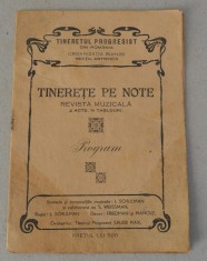 Tineretul progresist din Romania program revista muzicala