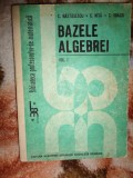Bazele algebrei ( volumul 1 )- C.Nastasescu , C.Nita , C.Vraciu ( matematica )