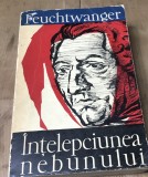 LITR28 Intelepciune nebunului