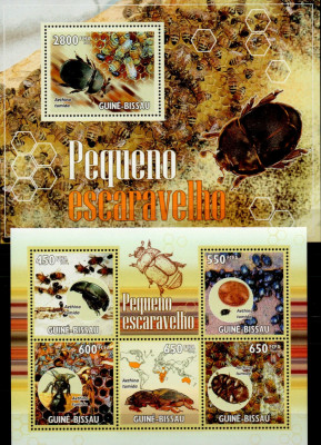 Guineea Bissau 2010, Fauna Albine, Insecte, MNH foto