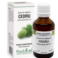 Extract din mladite de cedru 50ml