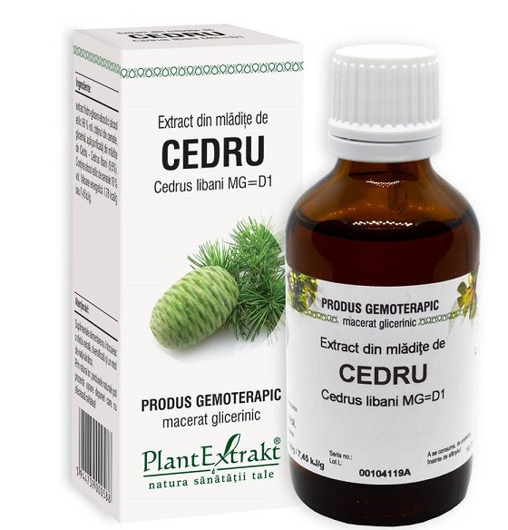 EXTRACT DIN MLADITE DE CEDRU 50ML