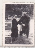 Bnk foto Femeie in parc - Foto COOP Igiena Calimanesti, Alb-Negru, Romania de la 1950, Portrete