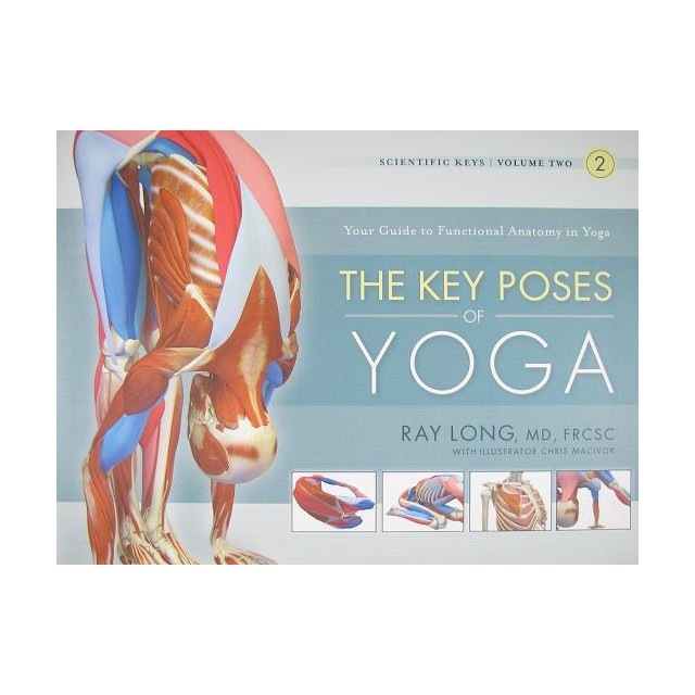 The Key Poses of Yoga