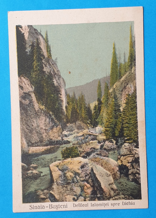 Carte Postala veche anii 1930 SINAIA - BUSTENI DEFILEUL IALOMITEI SPRE DICHIU