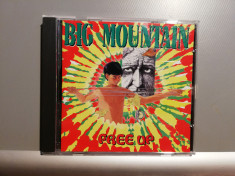 Big Mountain - Free Up (1997/Sony/Holland) - CD ORIGINAL/Stare: ca Nou foto