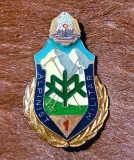 Insigna Alpinist Militar clasa 1