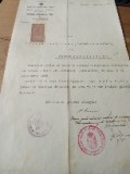 Act Cernăuți 1922 Consiliu Școlar titularizare
