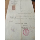 Act Cernăuți 1922 Consiliu Școlar titularizare