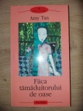 Fiica tamaduitorului de oase- Amy Tan