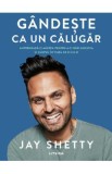 Gandeste ca un calugar - Jay Shetty