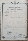 Titlu definitiv de proprietate Seremet, Pazarlia, Constanta 1910