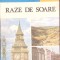 RAZE DE SOARE-ADINA M. ARSENESCU-261236