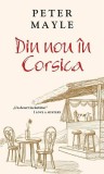 Din nou &icirc;n Corsica - Paperback brosat - Peter Mayle - RAO