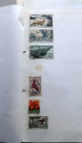 Lot Timbre Africa Ecuatorială Franceză AEF - Poștă Aeriană, Faună, Floră - Ștampilate -GB