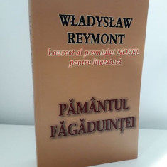 Carte Pamantul Fagaduintei de Wladyslaw Reymont editura Lider 2011