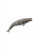 Balena Gri - Collecta