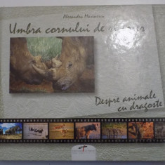 UMBRA CORNULUI DE RINOCER - DESPRE ANIMALE, CU DRAGOSTE de ALEXANDRU MARINESCU , 2008