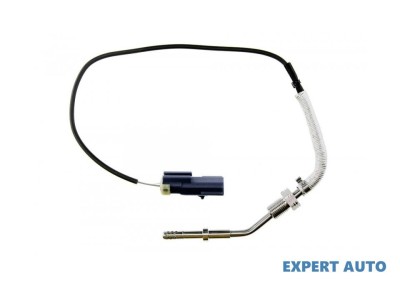 Senzor temperatura gaze dpf Jeep Compass (2006-&amp;gt;)[MK49] #1 foto