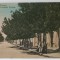 GIURGIU , STRADA PRINCIPELE NICOLAE , CARTE POSTALA , 1924