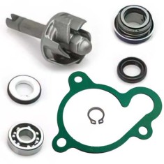 Kit reparatie pompa apa atv LINHAI 250 260