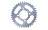 Pinion Spate Cross 110/125cc 37 Dinti Pas 420