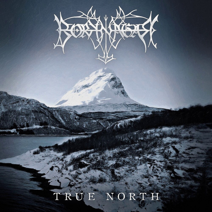 Borknagar True North (cd)