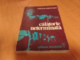 Călătorie neterminată