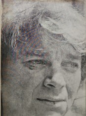 Frumos ca umbra unei idei - 1985 - Nichita Stanescu (AT119)