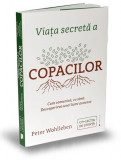 Viata Secreta A Copacilor, Peter Wohlleben - Editura Publica
