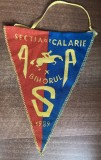 D9 155 - fanion - sport - hipism - ASA Bihorul - Sectia calarie - 1989