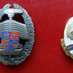 Insigna decoratie Academia Militara si ALMA MATER - RSR