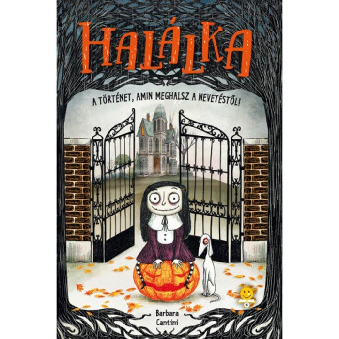 Hal&aacute;lka - A t&ouml;rt&eacute;net, amin meghalsz a nevet&eacute;stől - Barbara Cantini
