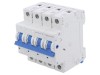 Intrerupator Automat Trifazat HONGFA RELAY, 10A, 3+N Poli, 230/400VAC