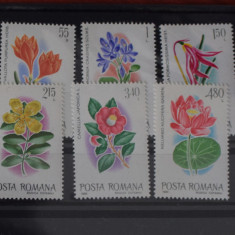 TS24/01 Timbre Posta Romana - Nestampilat Flora