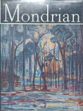 MONDRIAN. ALBUM DE ARTA-VICTOR IERONIM STOICHITA