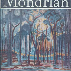 MONDRIAN. ALBUM DE ARTA-VICTOR IERONIM STOICHITA