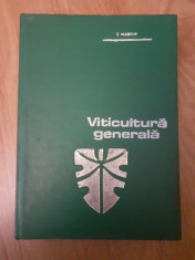 VITICULTURA GENERALA foto