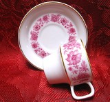 SET PORTELAN HOLLOHAZA CEASCA CAFEA ESPRESSO CU FARFURIE