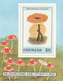 Grenada 1989-Flora,Ciuperci,colita dantelata,MNH,Mi.Bl.228, Nestampilat