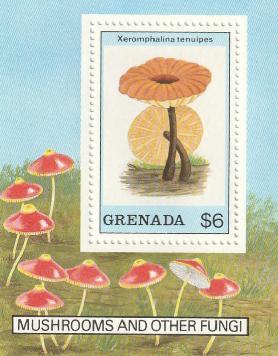 Grenada 1989-Flora,Ciuperci,colita dantelata,MNH,Mi.Bl.228