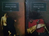Augustin Buzura - Fetele tacerii, 2 vol. (editia 2011)
