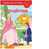 Cenusareasa (Nivelul 1 Carte cu pictograme)