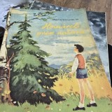 Hoinareli prin natura - Demostene Botez, Ionel Pop