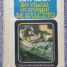 Sa visezi in crangul de salcami, de Ion Lila, Romanul de dragoste, 1990, 290 pag