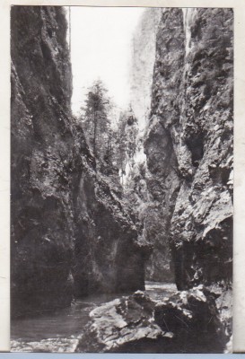 bnk cp In Cheile Bicazului - Vedere - uzata foto