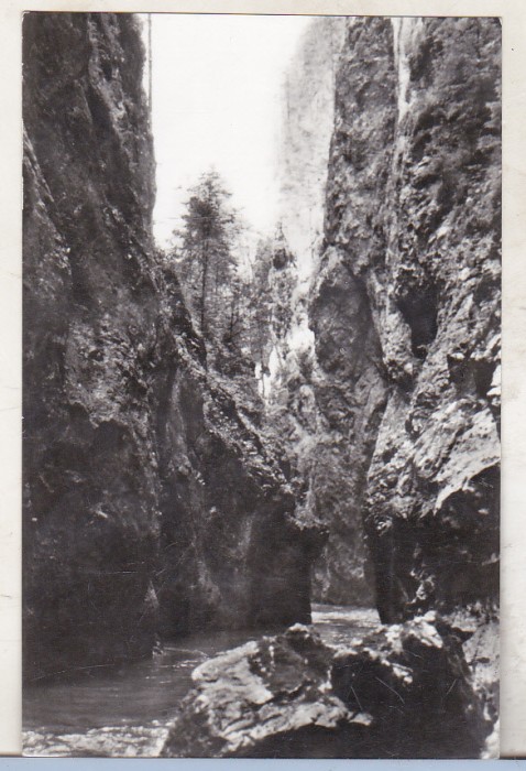 bnk cp In Cheile Bicazului - Vedere - uzata