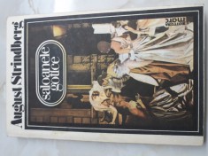 Saloanele gotice - August Strindberg foto